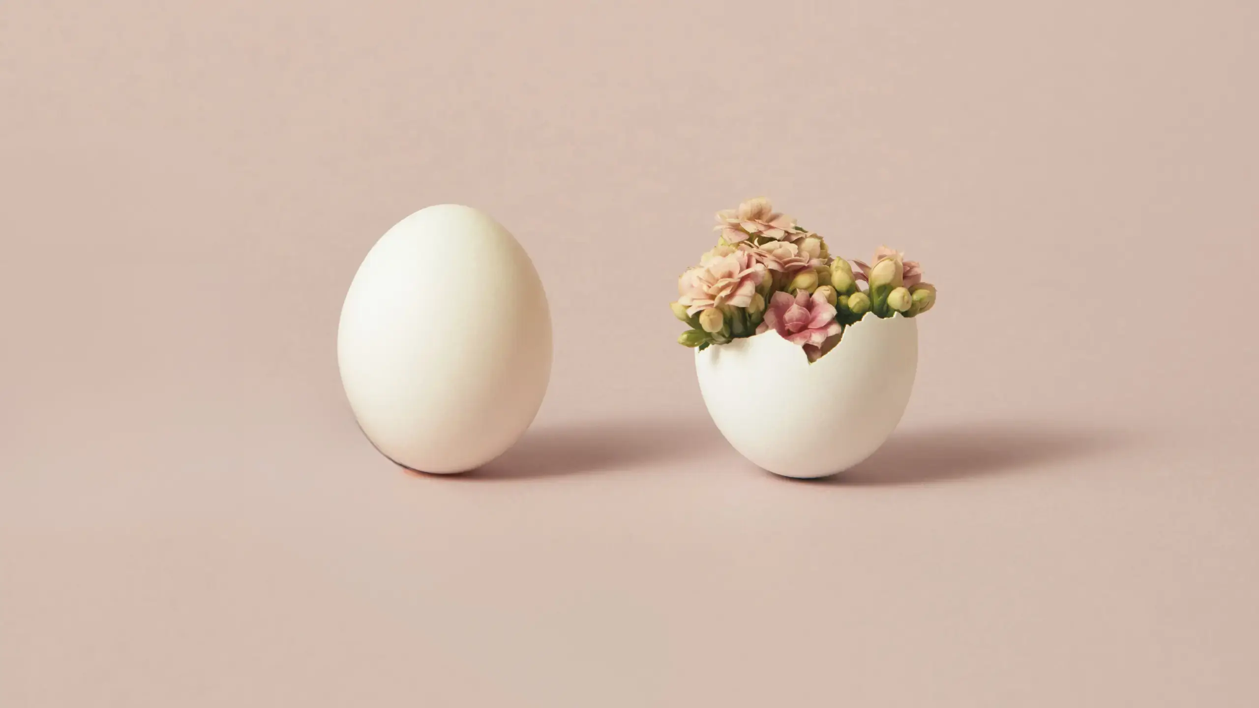 Two eggs are seen. One is a full egg, the other has hatched, sprouting flowers.