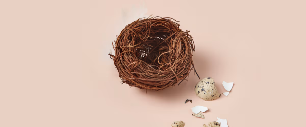 A broken egg sits next to a nest.