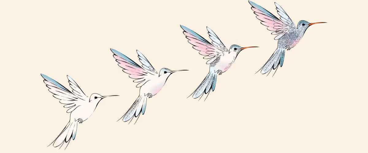 Four birds are flying off into the distance, with each bird progressively more colorful. 