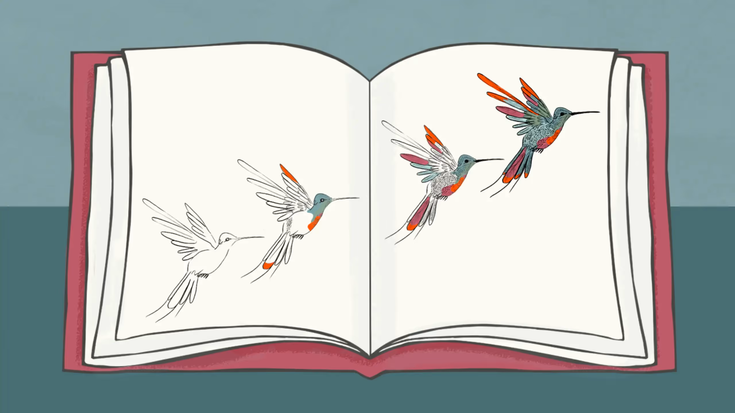 Illustration of four hummingbirds flying across the pages of a book.