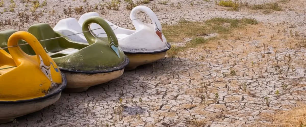 Three swan boats sit in sandy terrain.