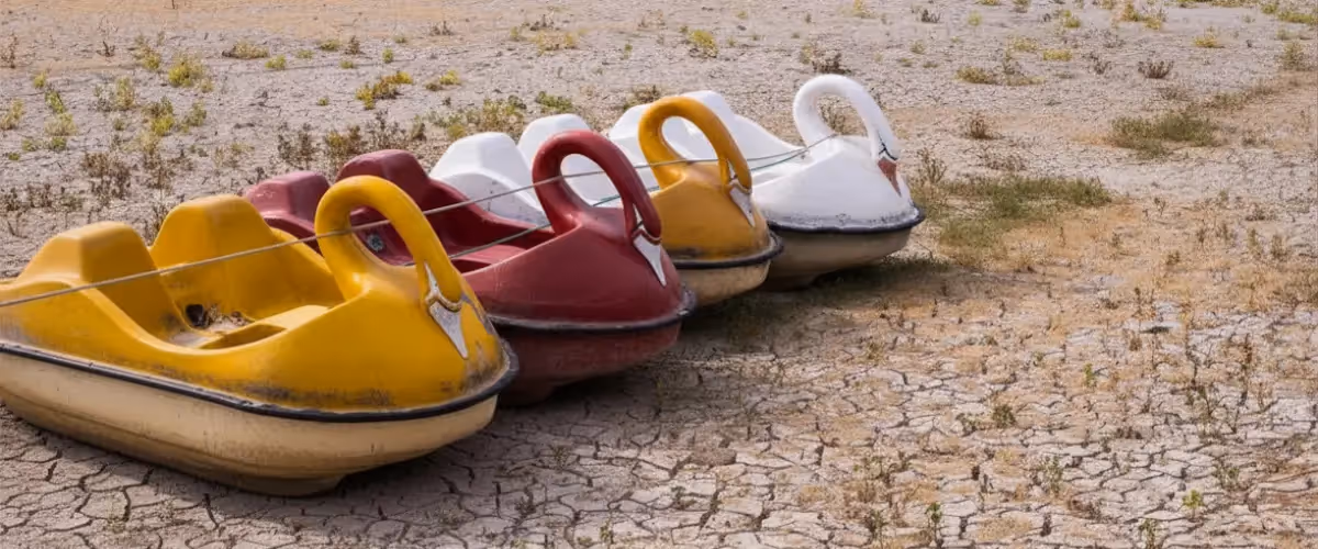 Four swan boats sit in sandy terrain together.