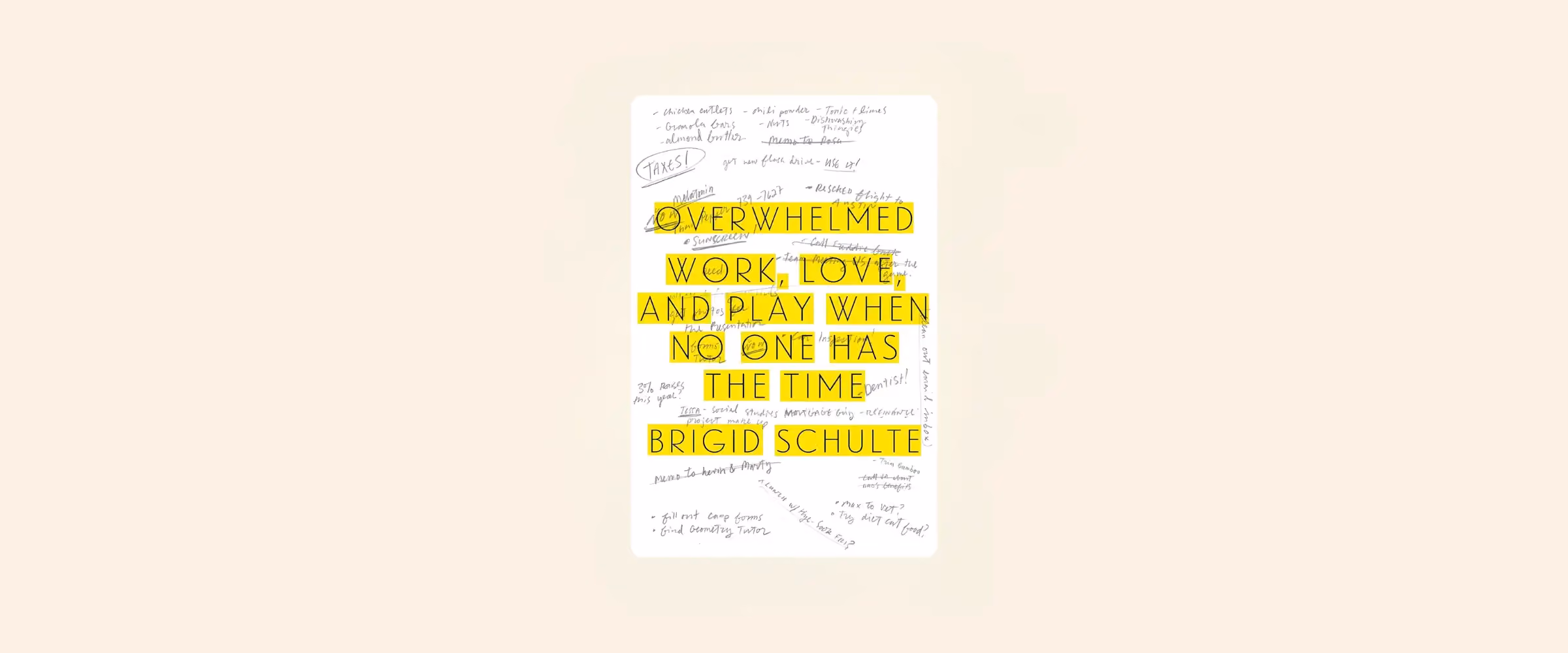An image of a book cover with the title "Overwhelmed: Work, Love and Play When No One Has The Time".