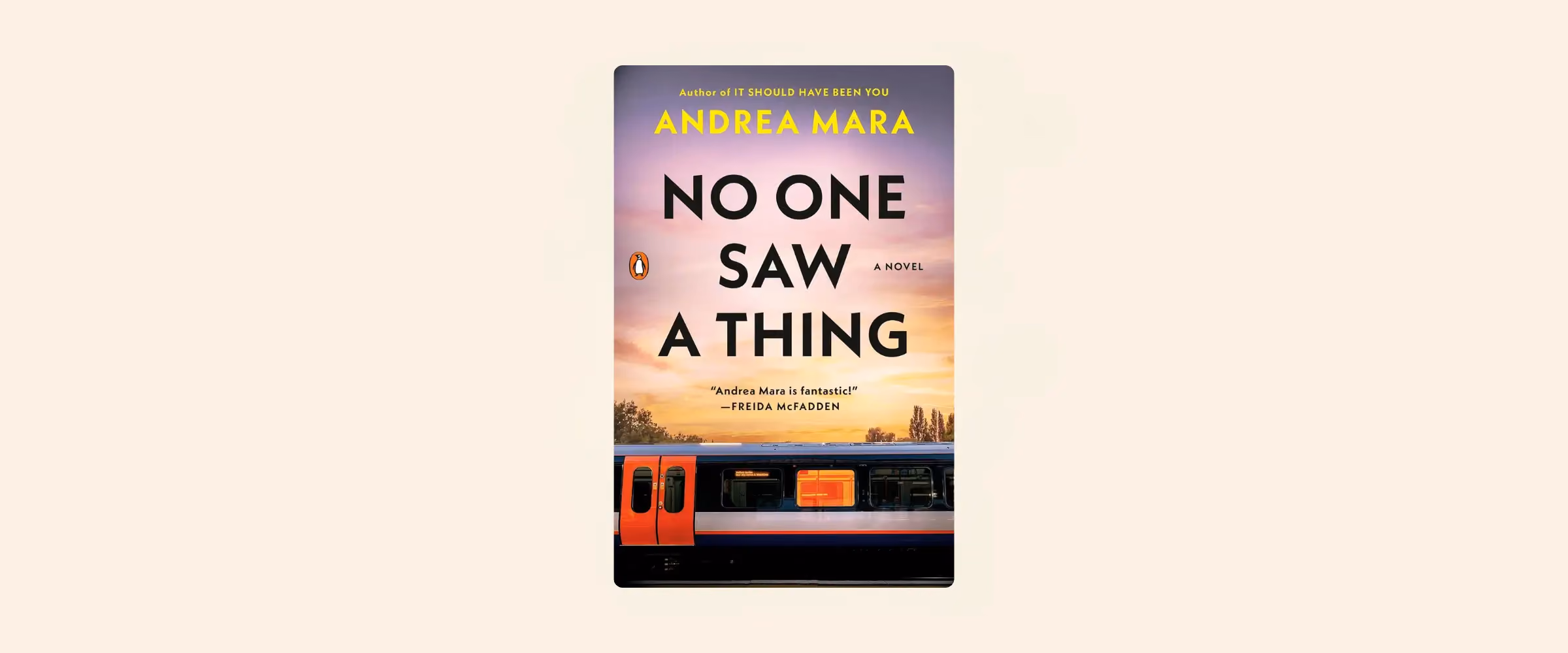 Cover of the book No One Saw a Thing by Andrea Mara.