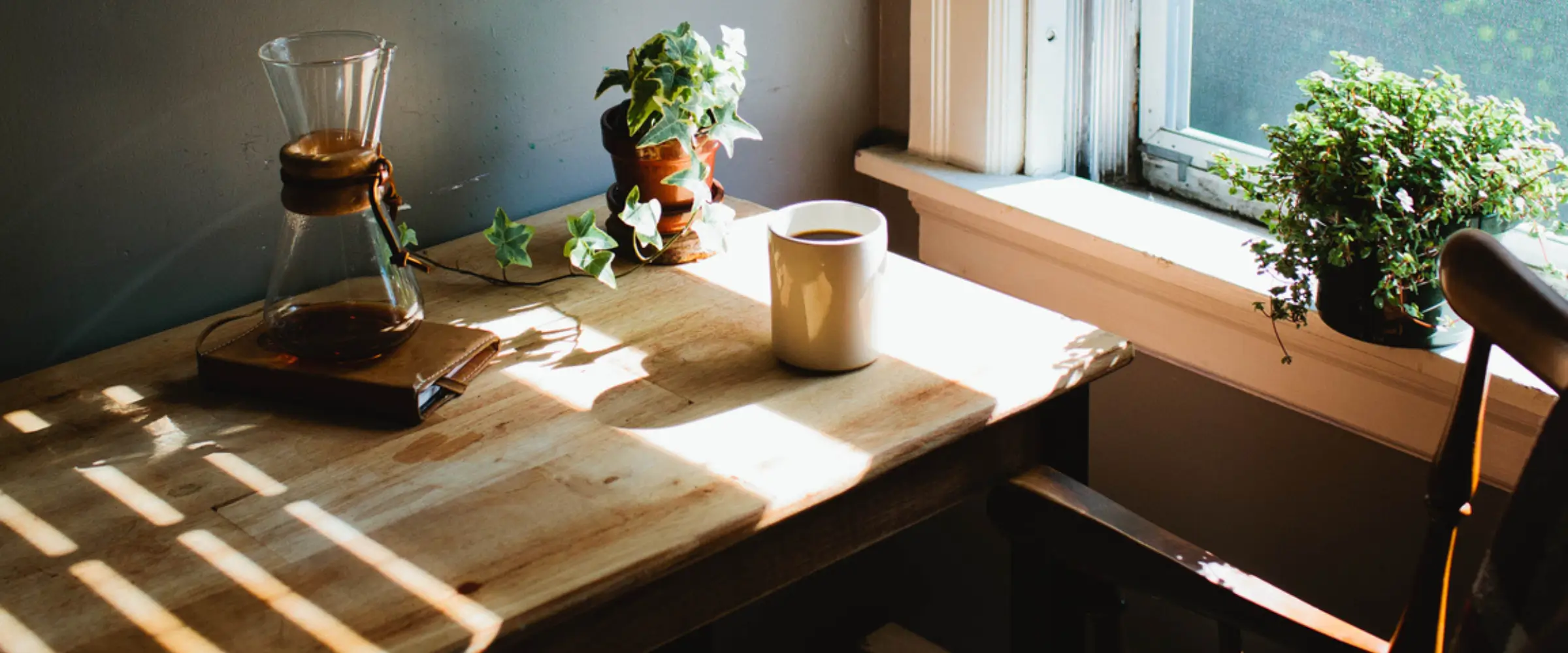 Sunlight falls through a window on to a desk bearing a coffee maker, mug, notebook, and houseplant.