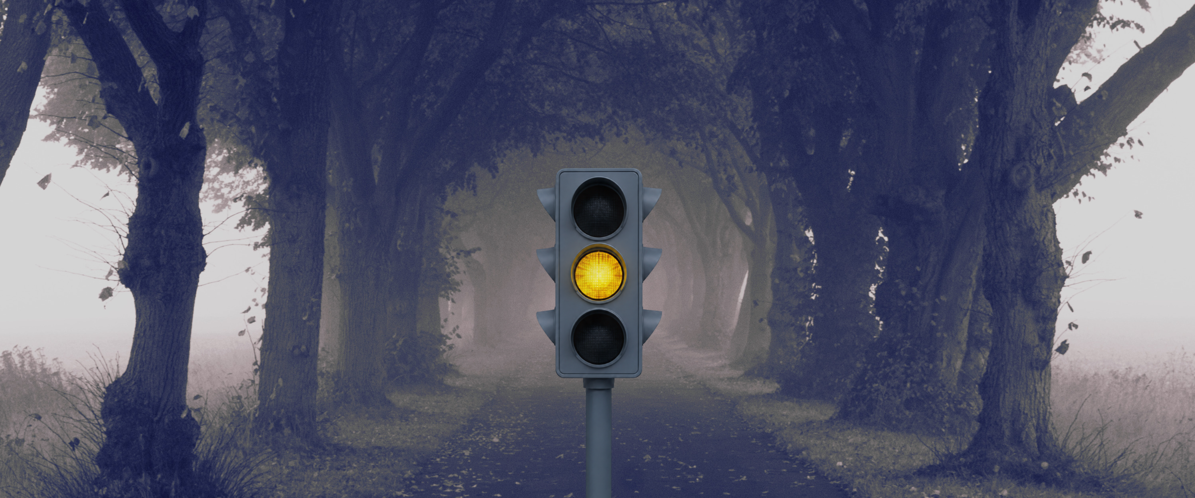 A traffic light standing in the middle of a misty, tree-lined lane, its amber light glowing.