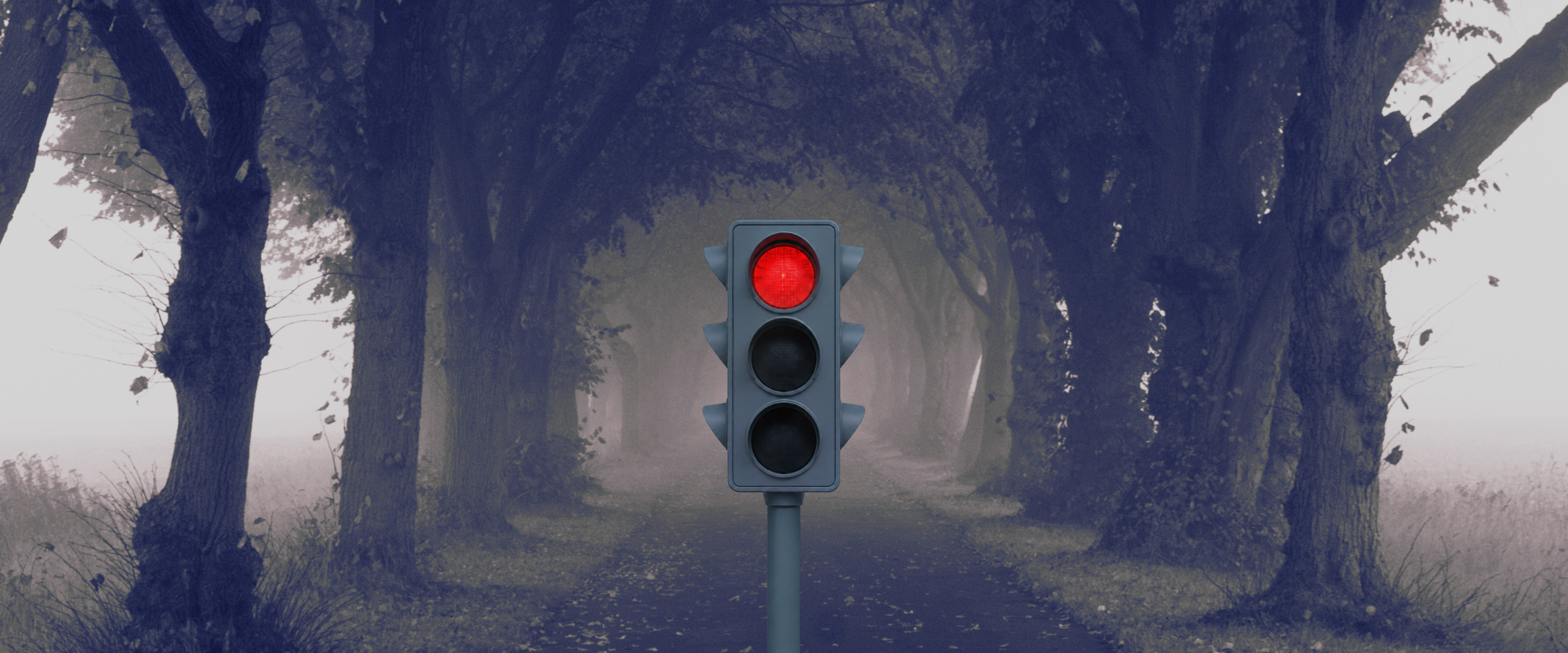 A traffic light standing in the middle of a misty, tree-lined lane, its red light glowing.