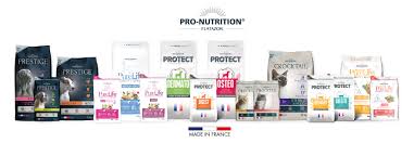 Company brand product