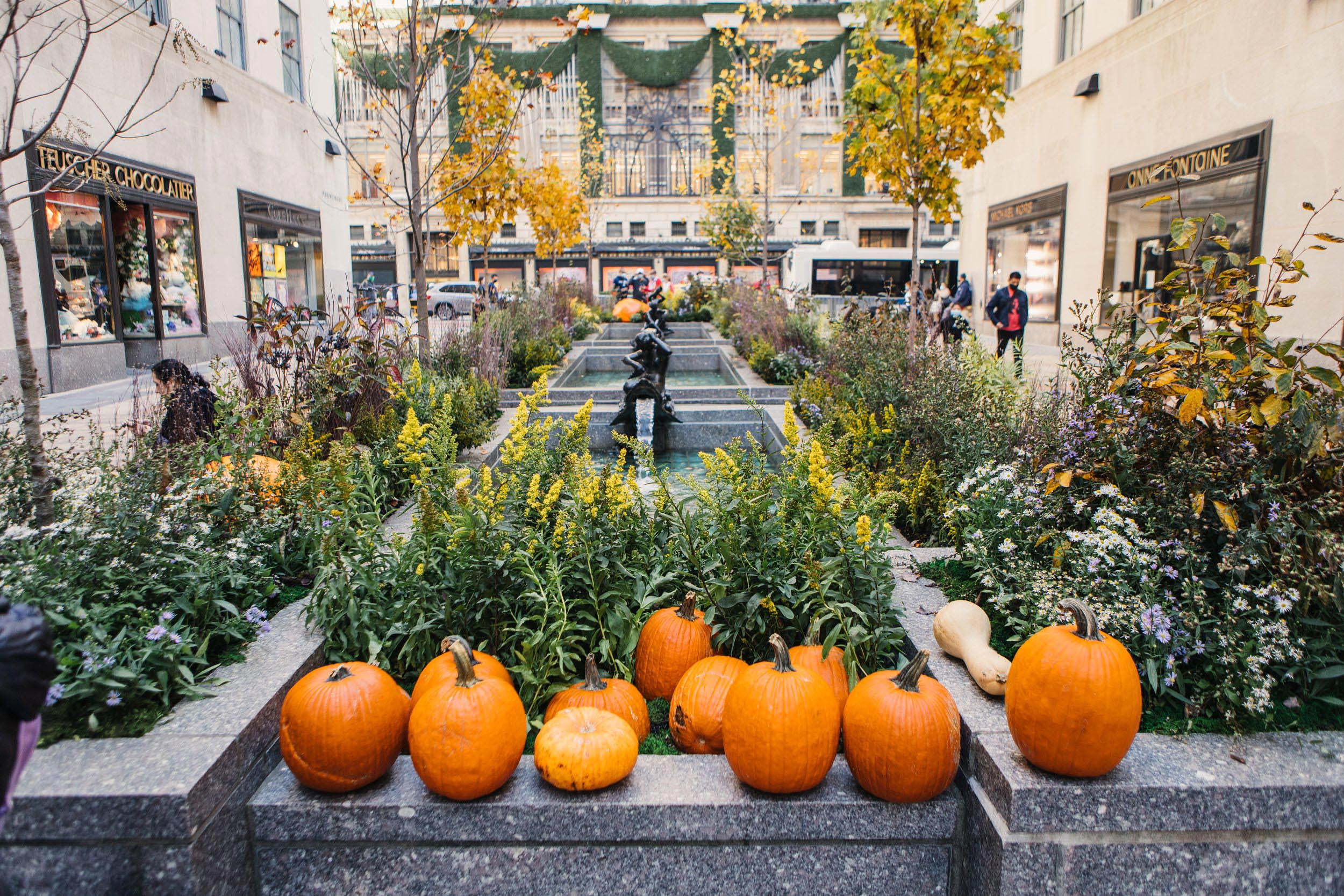 Pumpkins sit in a row on a stone wall lining a fountain in Rockefeller Plaza.