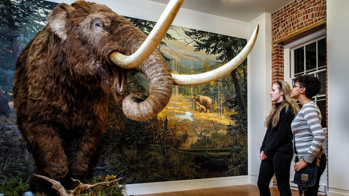 Two women look up at a mastodon with massive tusks.