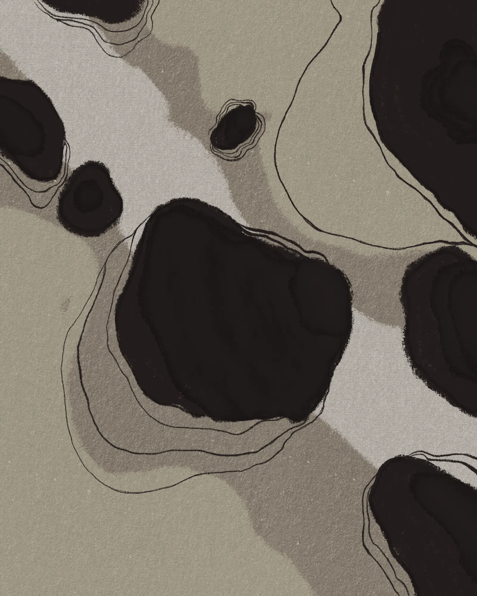 Abstract illustration of irregular dark stone-like shapes resting on a textured, muted background, outlined with soft, hand-drawn contour lines.