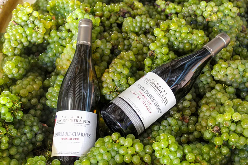 Bouteilles de vin du Domaine Jean Monnier & Fils, Meursault-Charmes et Pommard Grands Épenots Premier Cru, posées sur un lit de raisins.