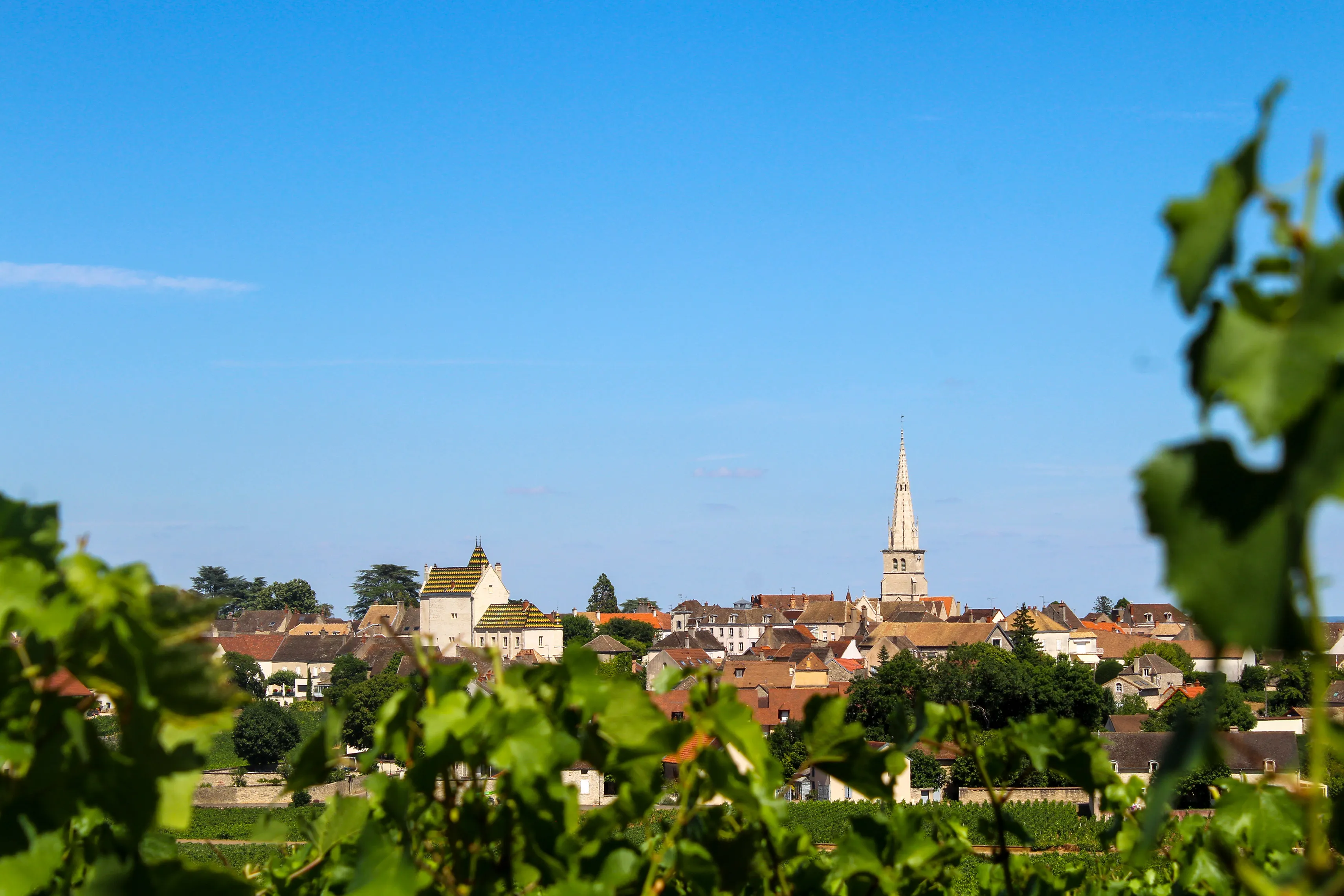Vue de Meursault depuis les vignes, clocher et toits du village sous ciel bleu — Domaine Jean Monnier & Fils, Côte de Beaune (Bourgogne).