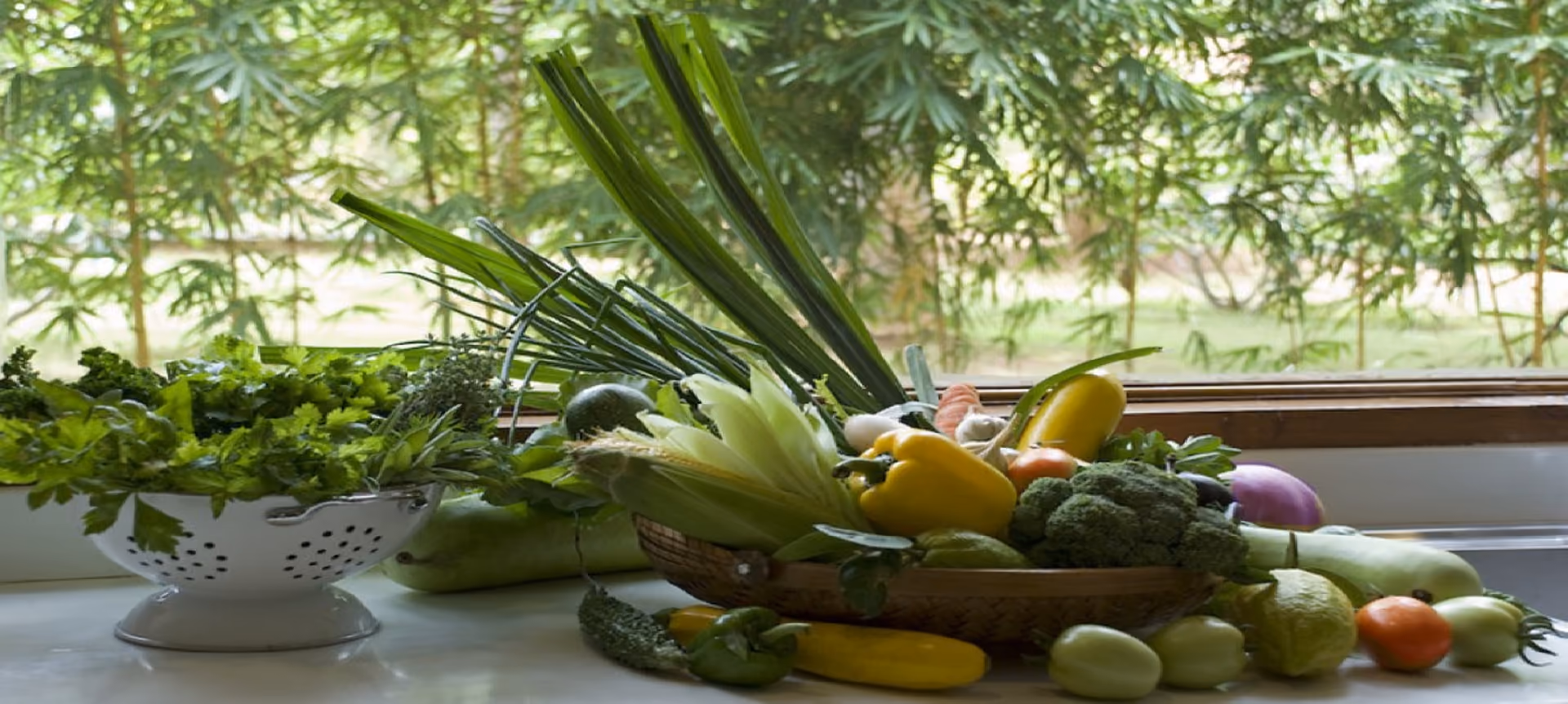 naturopathy in rishikesh