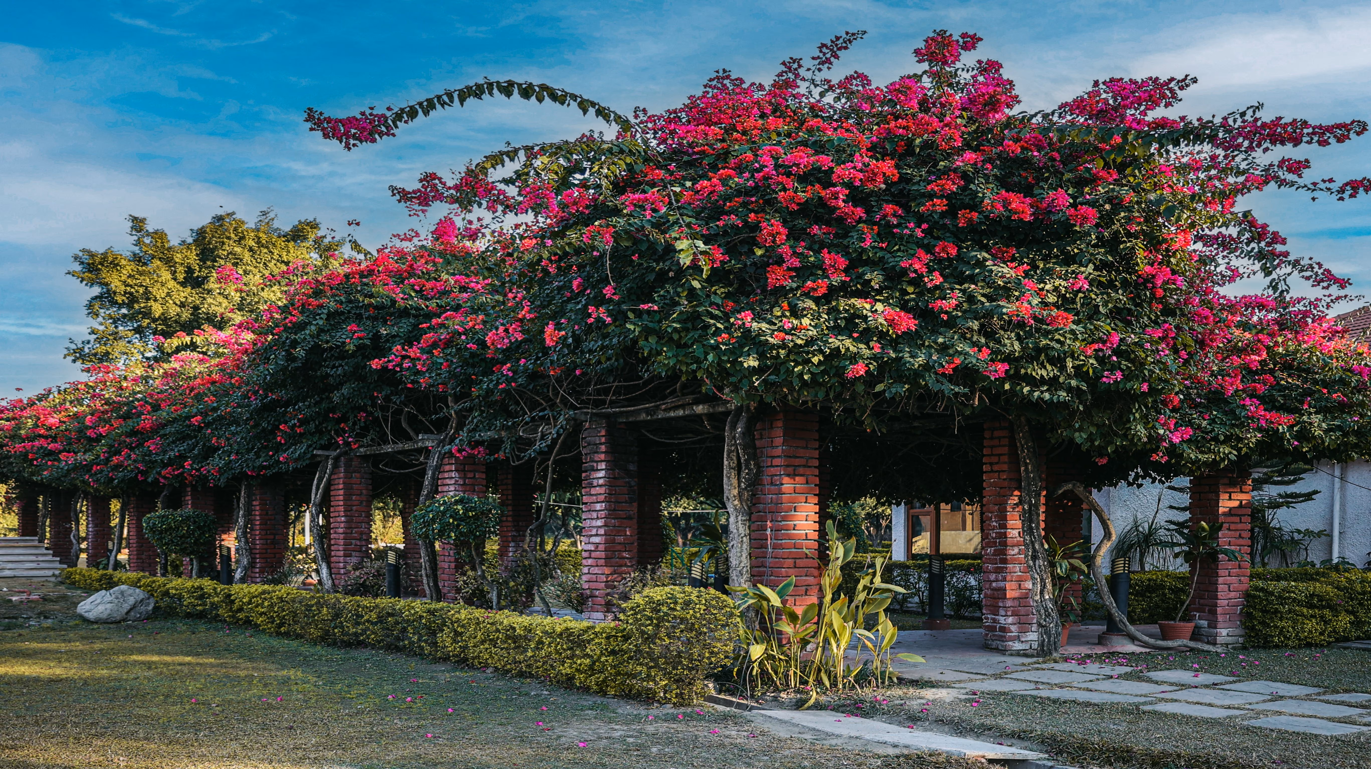Naturoville - naturopathy center in rishikesh