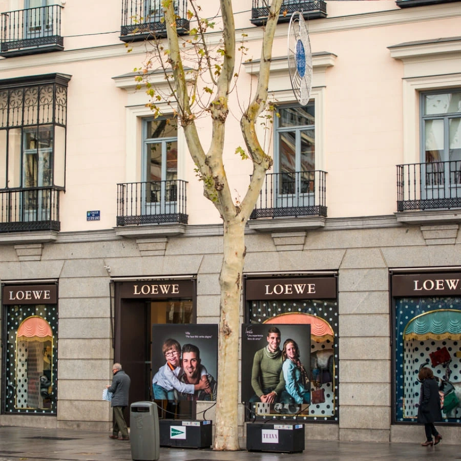 Loewe