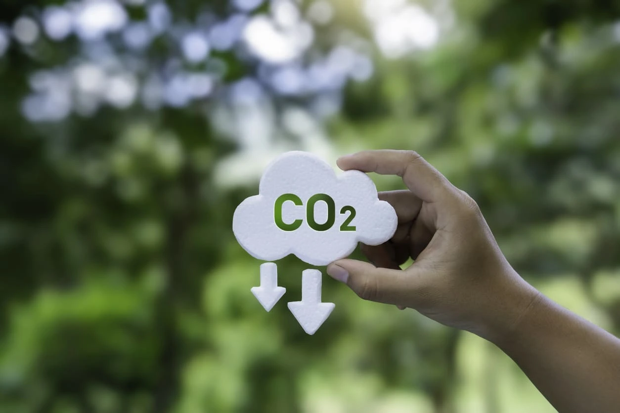 Carbon footprint