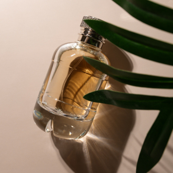 Las 10 mejores marcas de perfumes de Francia en TikTok
