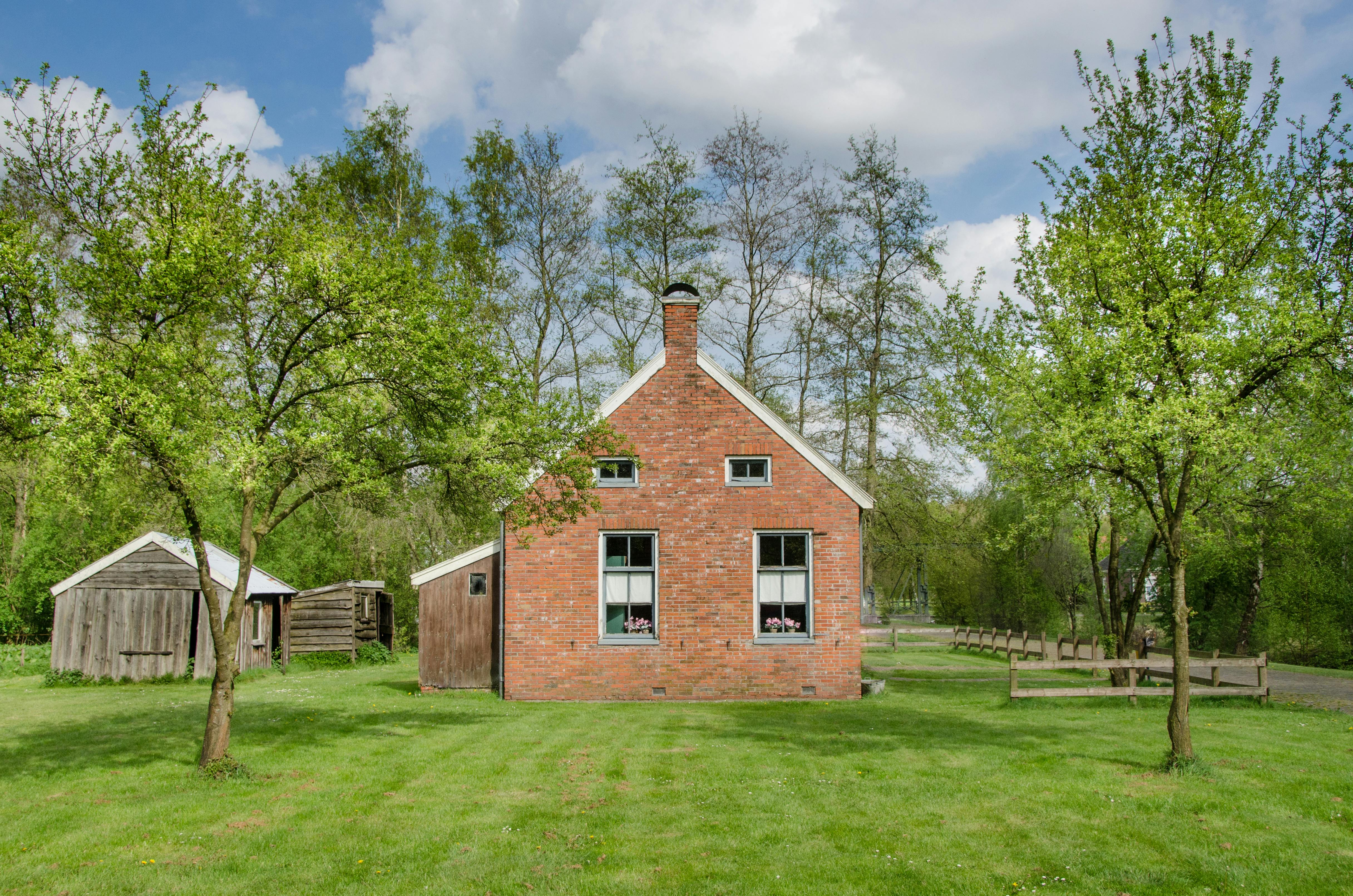 Feitelijk gebruik