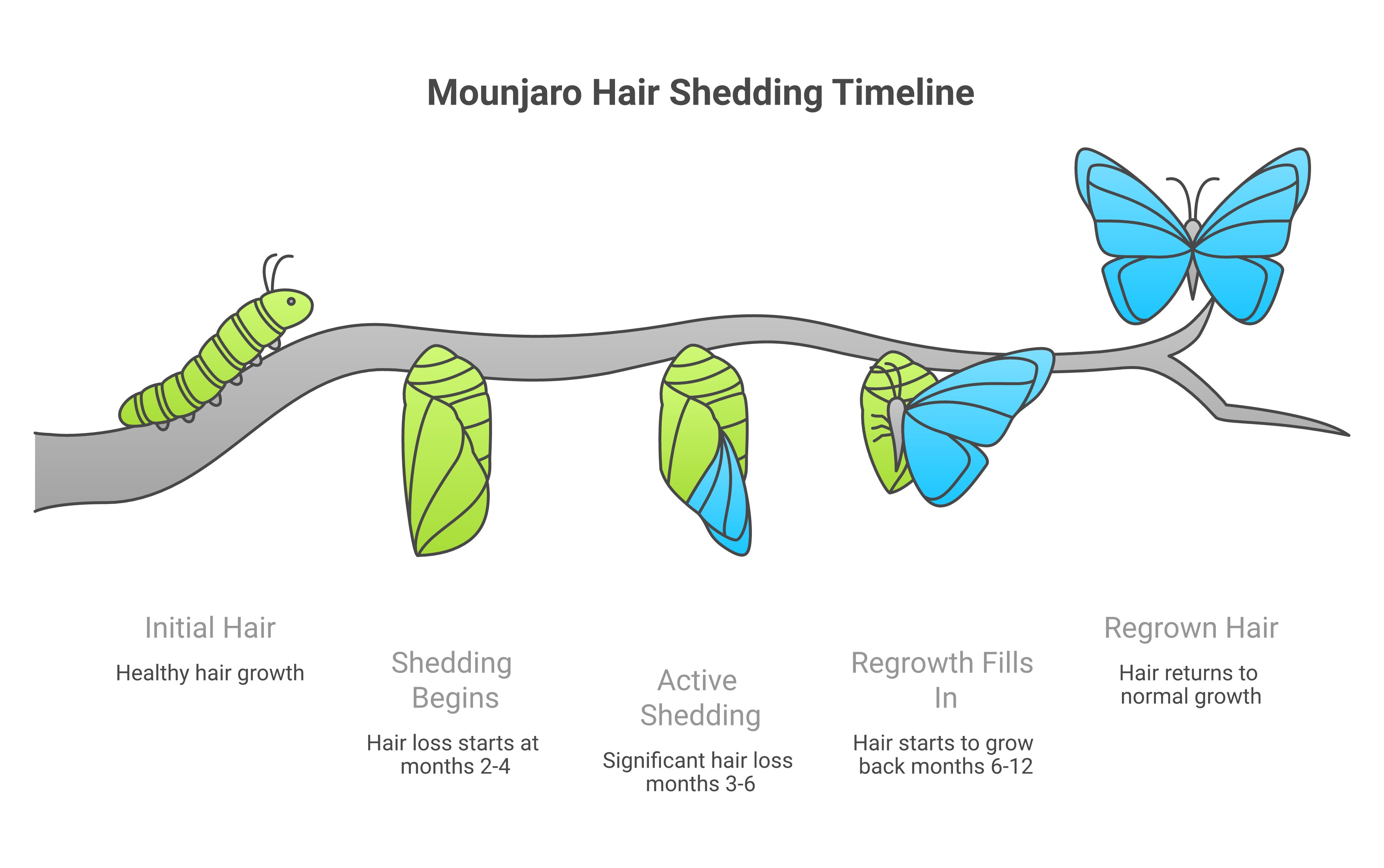 Does Mounjaro Cause Hair Loss? The Facts | Follicle Report