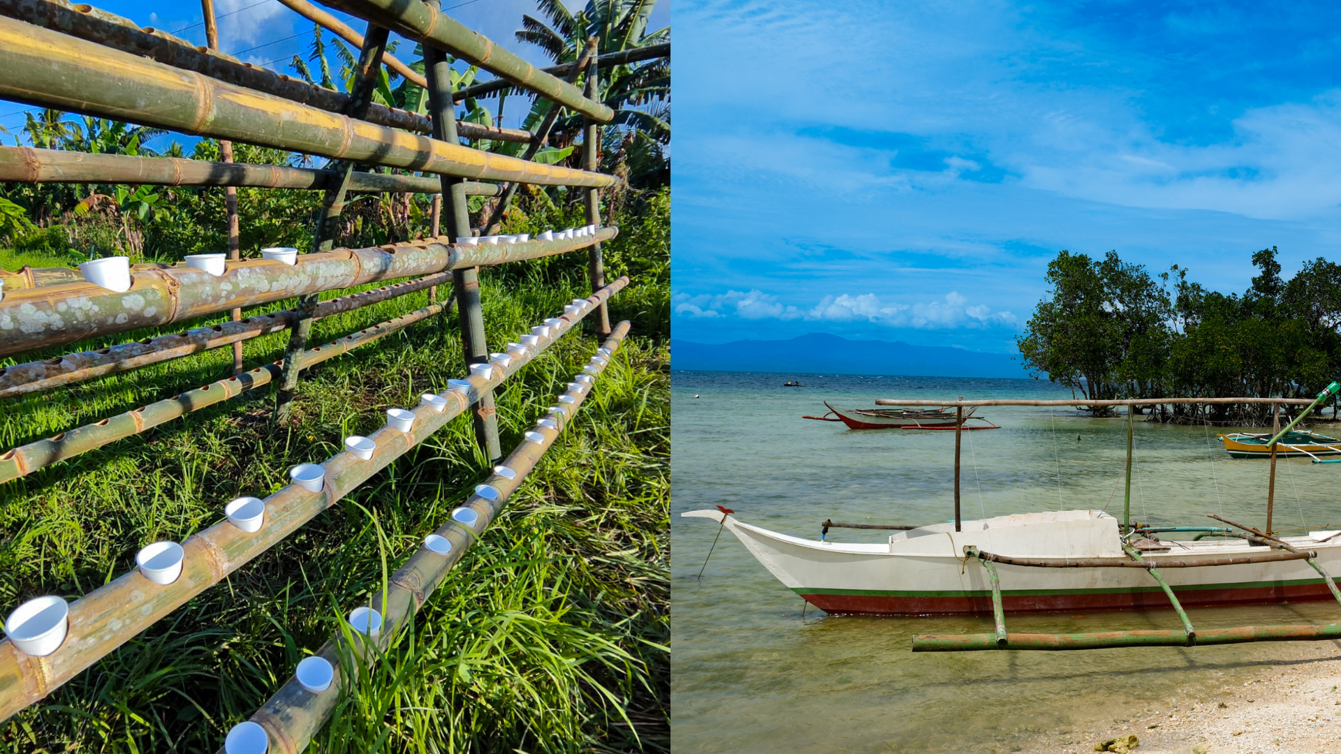 Picture of SEM Learning initiative