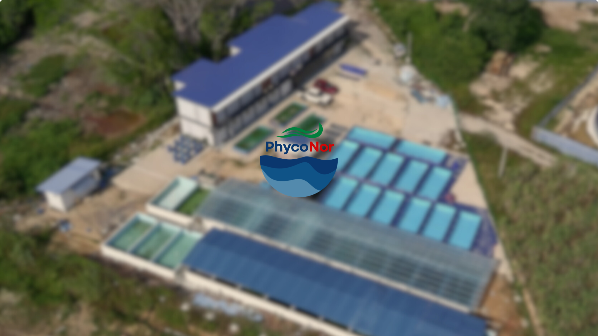 Current project PhycoNor in Malaysia 