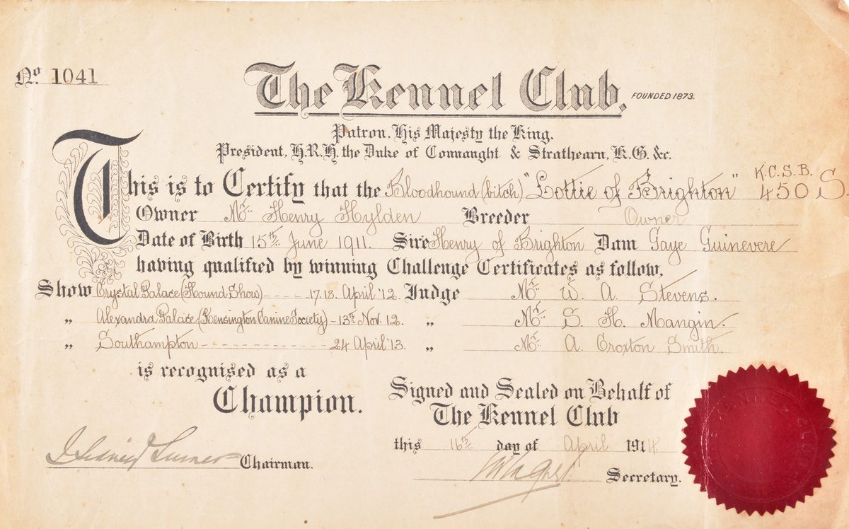 Kennel Club champion certificate for the bloodhound Lottie of Brighton, 1914, with its red seal