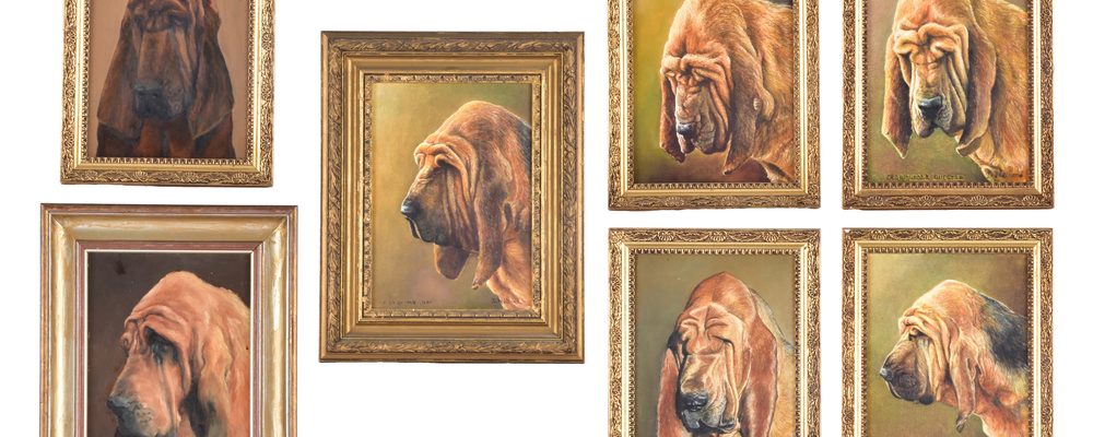 Seven framed oil paintings of Brighton Bloodhound Kennels champions in gilt frames