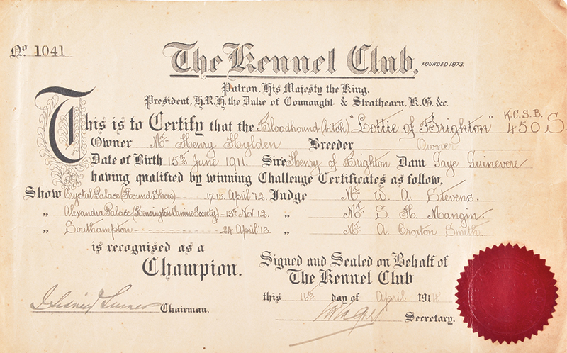 Kennel Club Champion Certificate awarded to Lottie of Brighton in 1914