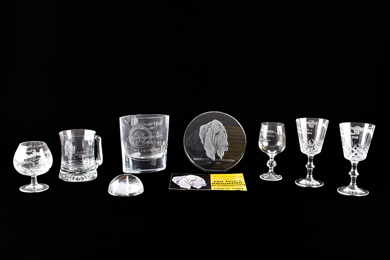Trophies, medals and photographs from the Brighton Bloodhound Kennels archive