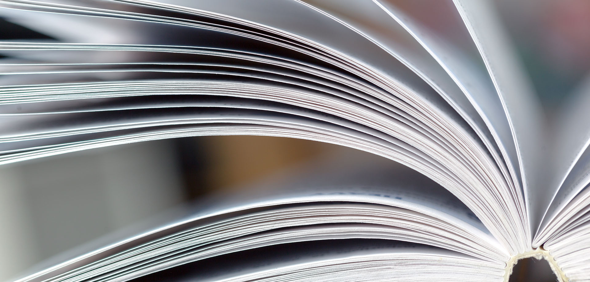 Book Writing Workshop with Sean from the Library