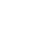 Webflow expert badge