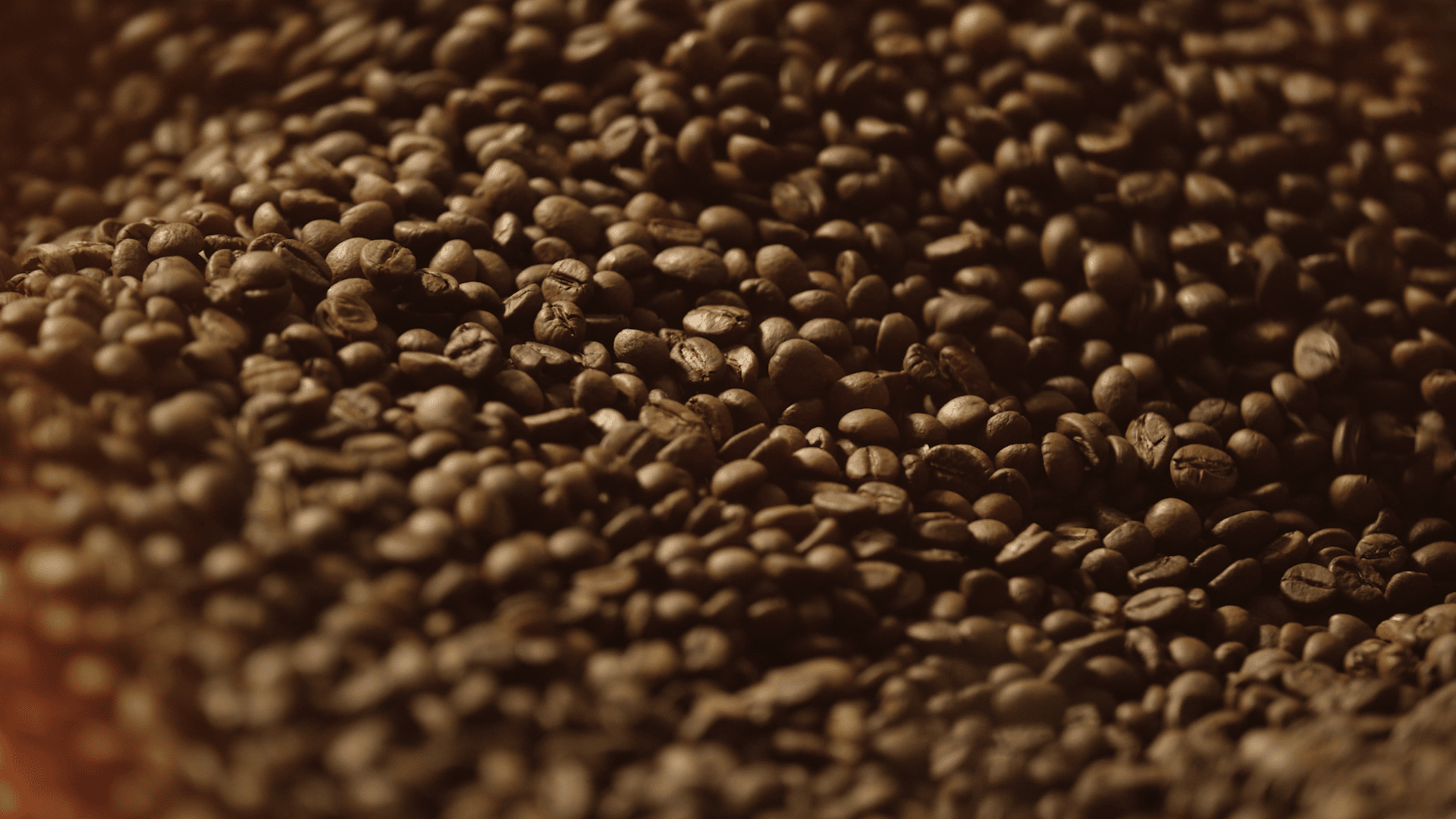 Frekko Coffee