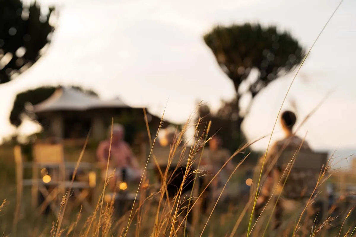 A close up of blades of grass at sunset at a Wilderness Seekers destination in Africa. In the background you can see a group of people sitting around a campfire.