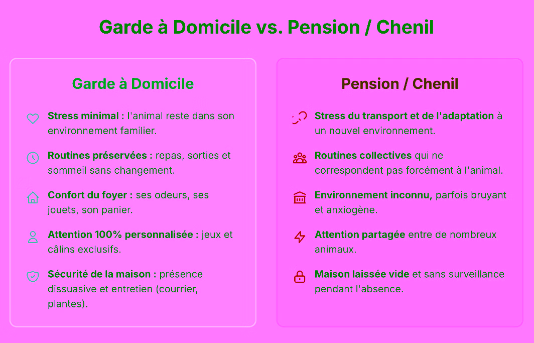 Comparatif entre ne garde à domicile versus une pension ou un chenil.