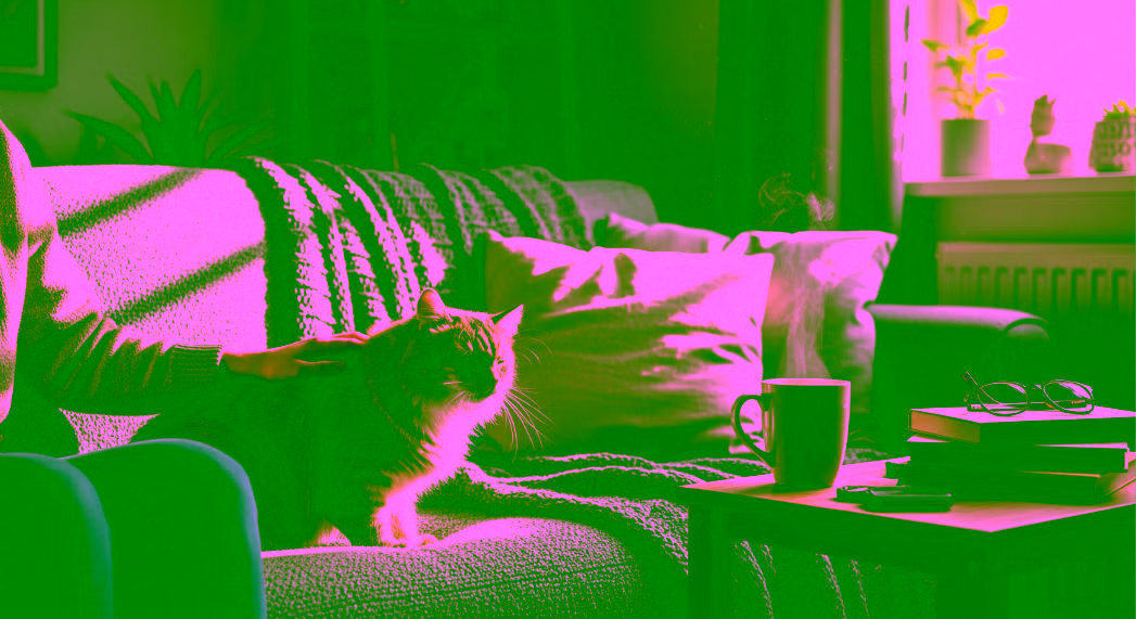 Un chat couché sur le canapé d'un appartement à Bordeaux. Caressé par son propriétaire.