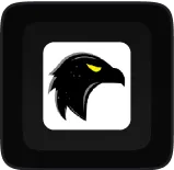 Black eagle head with yellow eye icon on a white square background.