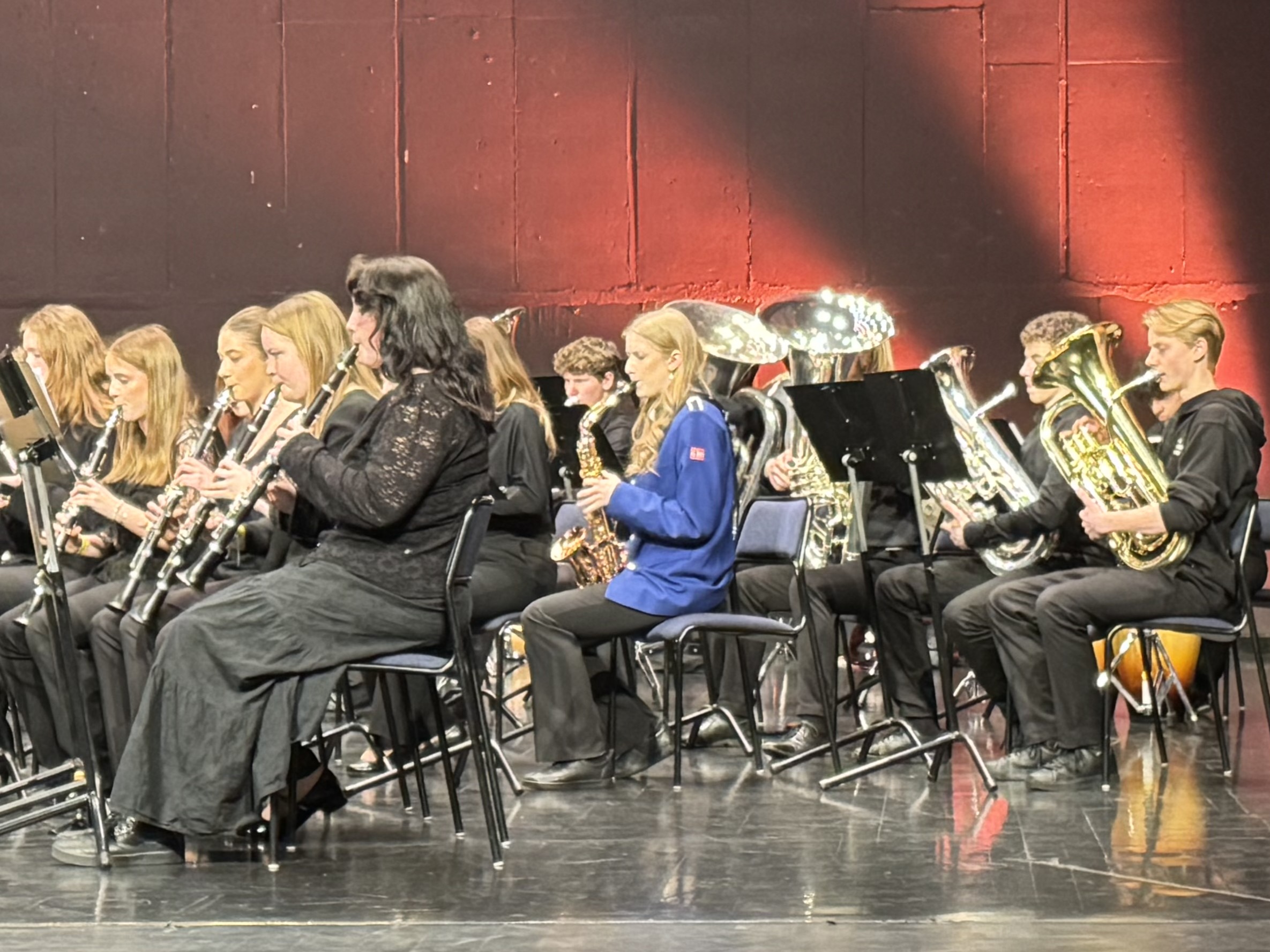 Regionkorpset i Sør