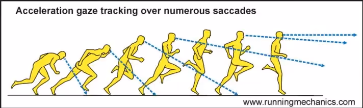 Sprinting Mechanics Made Simple: Maximizing Acceleration