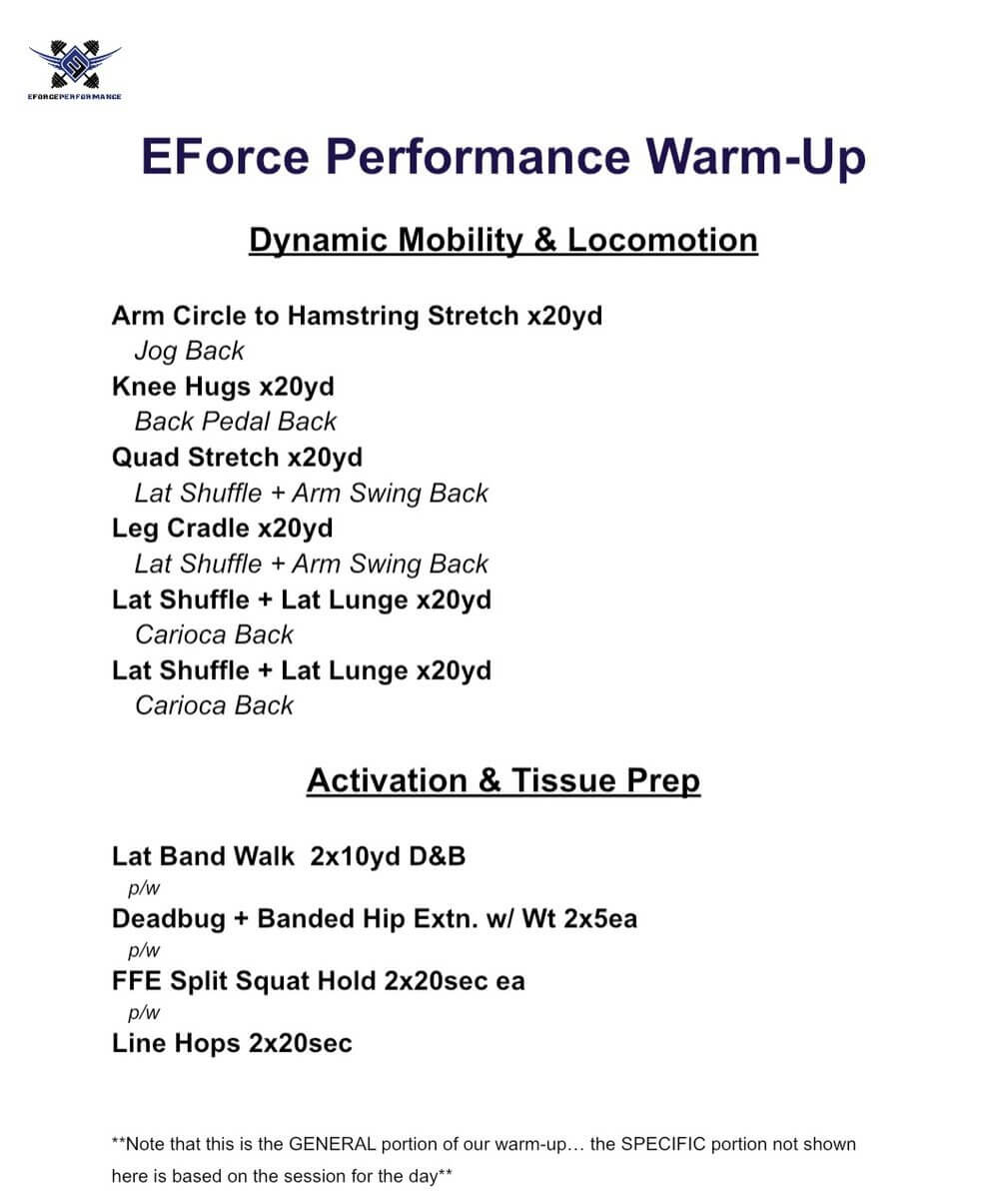 Eforce performance warmup program