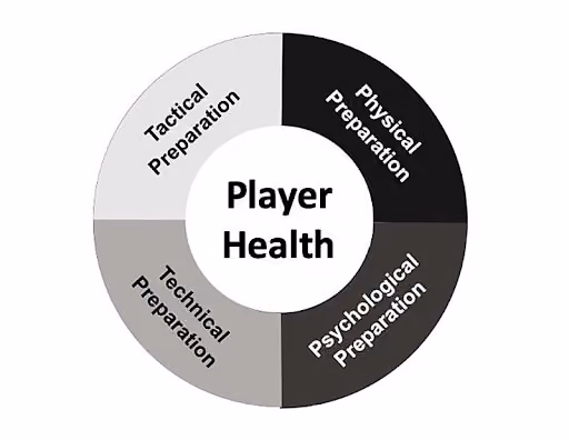 The 4 Co-Active Model For Athlete Preparation