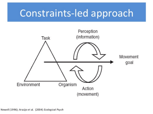 Constraints-led approach