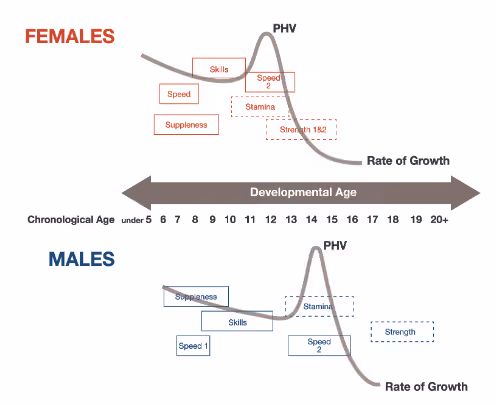 male and female PHV comparison