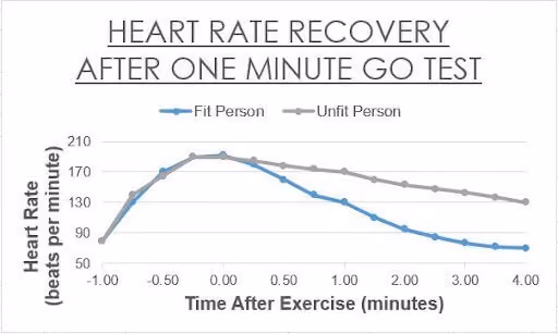 Heart rate recovery after one minute go test chart