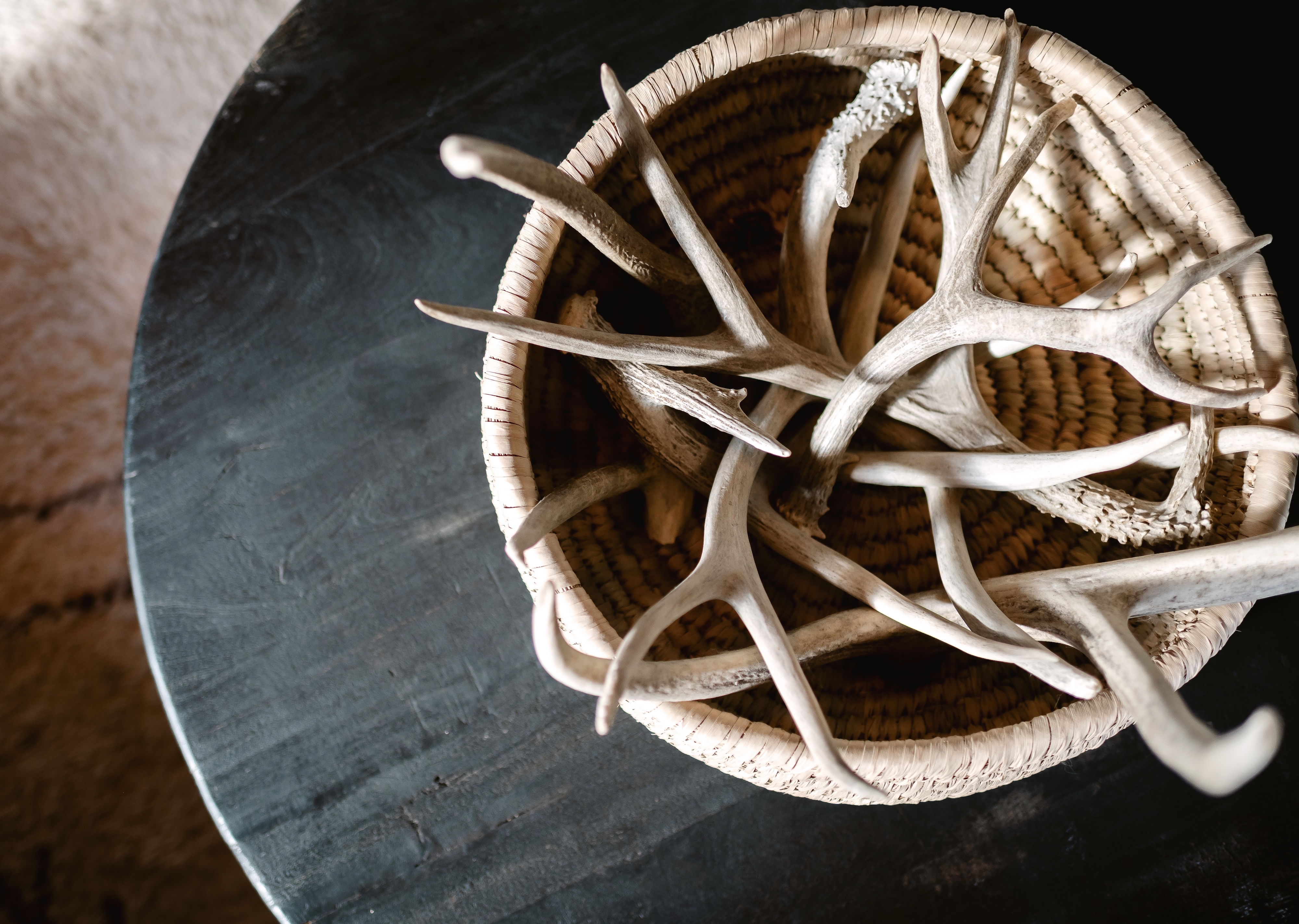 Woven basket filled with several white and brown antlers on a dark round table.