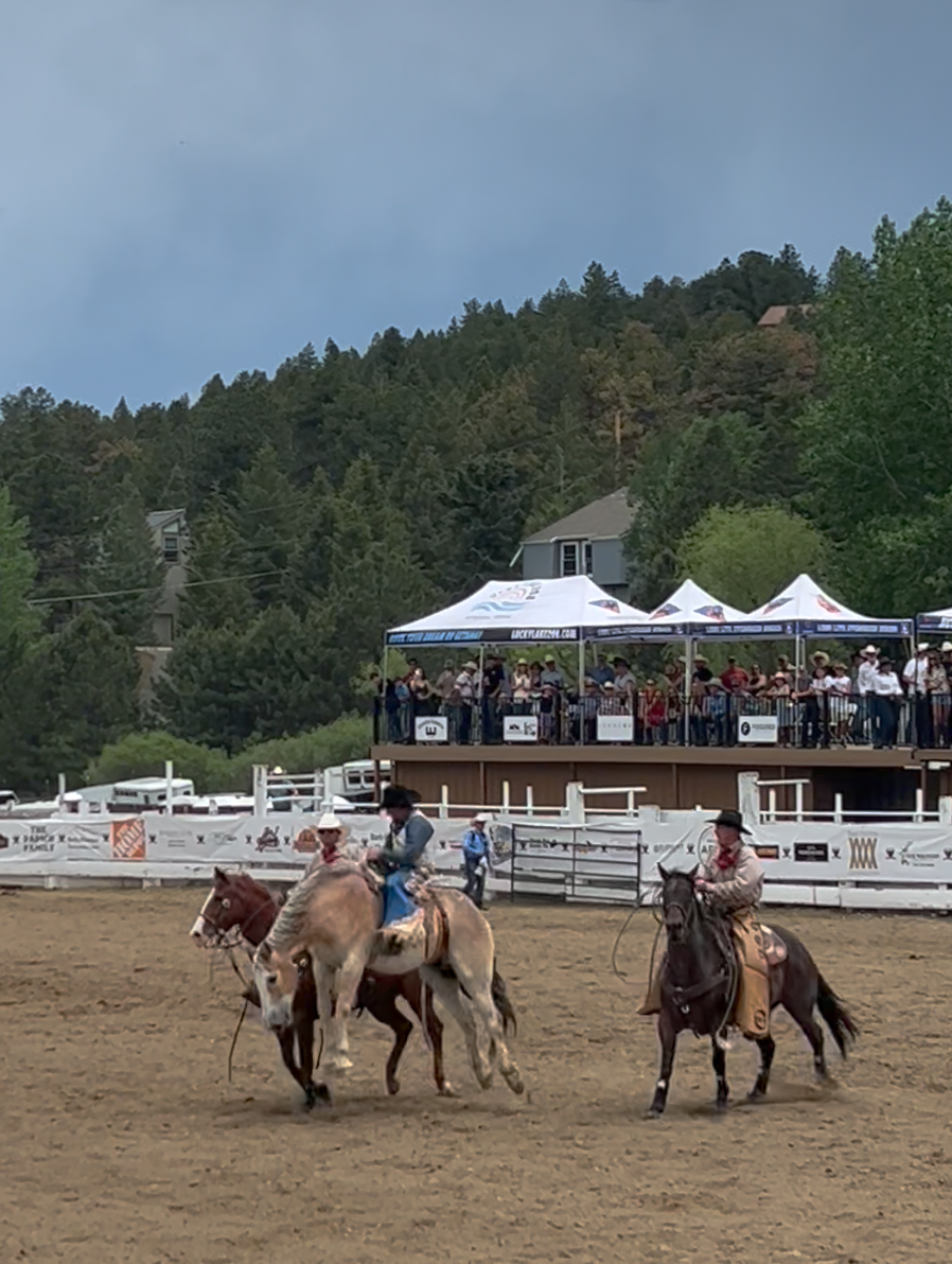 Evergreen Rodeo bucking bronco cowboy
