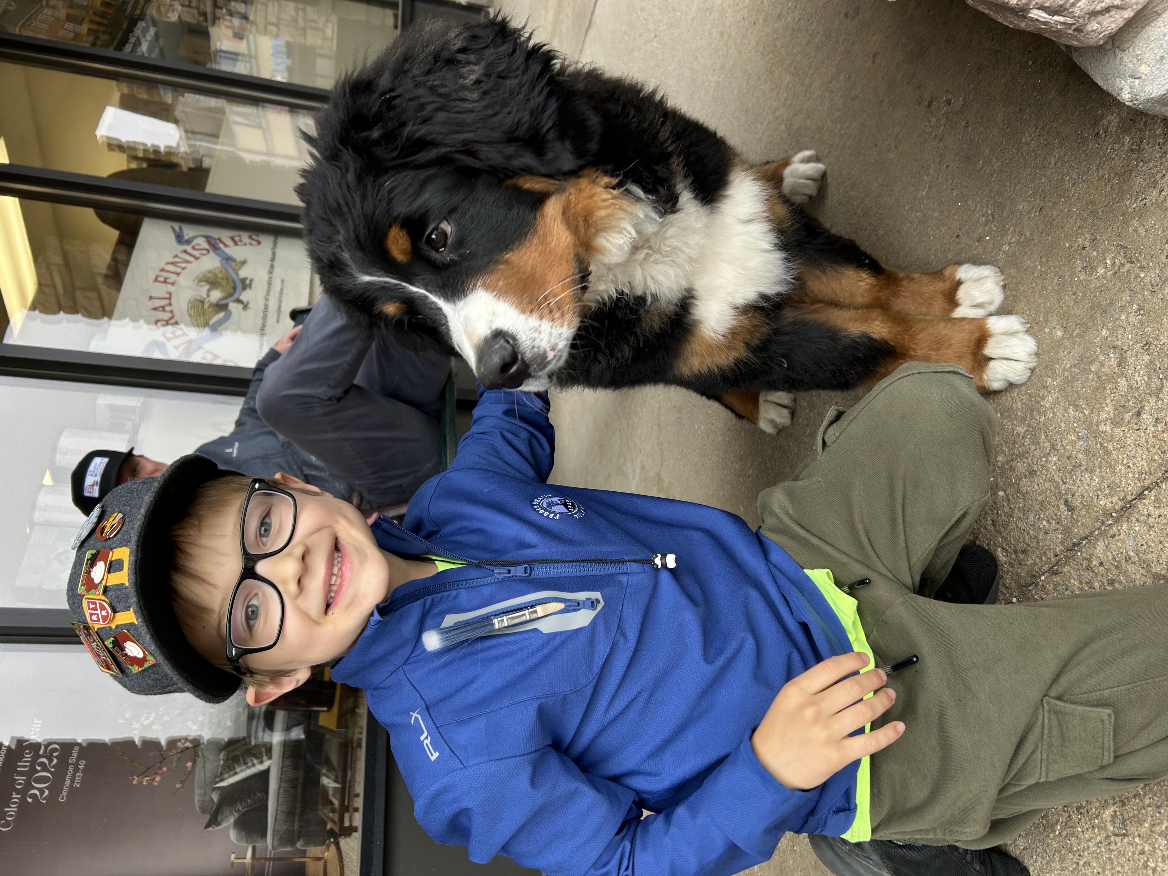 Smiling boy in glasses, blue jacket, and hat with pins kneeling next to a large black, white, and brown Bernese Mountain dog.
