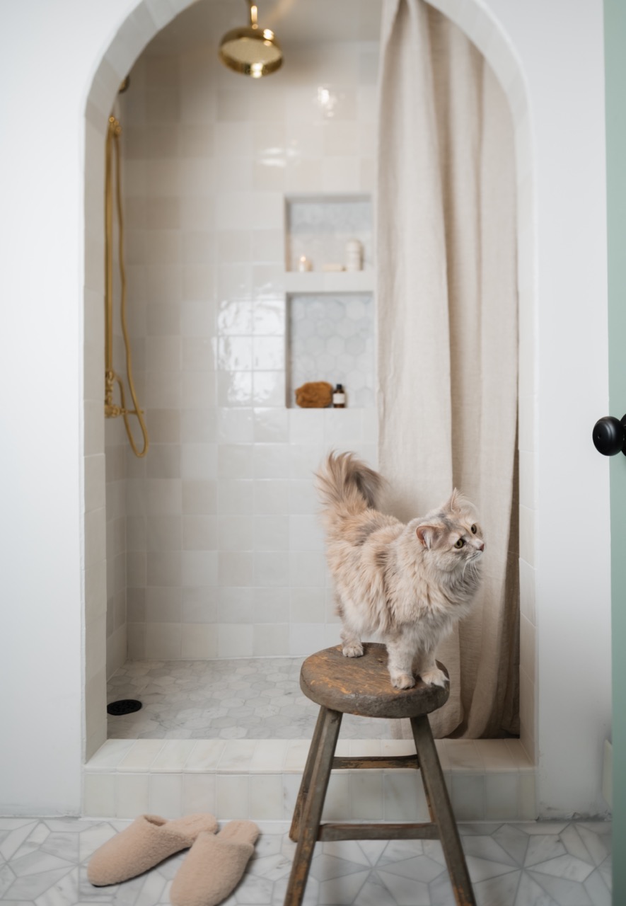 Fluffy light-colored cat standing on a wooden stool in front of a tiled walk-in shower with beige curtain and slippers on marble floor.