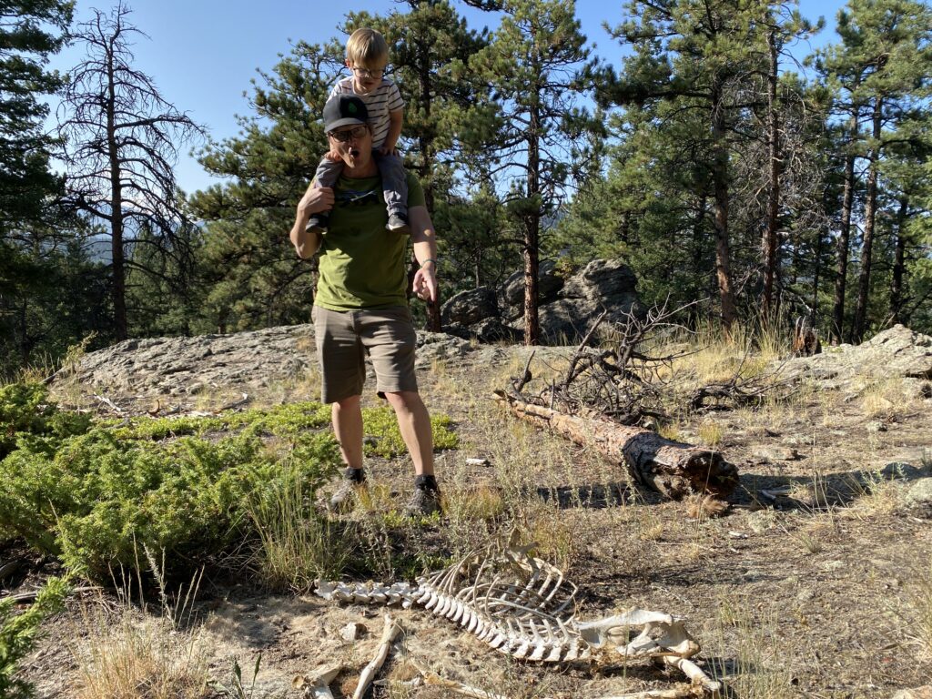 Man carrying a child on his shoulders pointing at a large animal skeleton on the ground in a forest clearing.