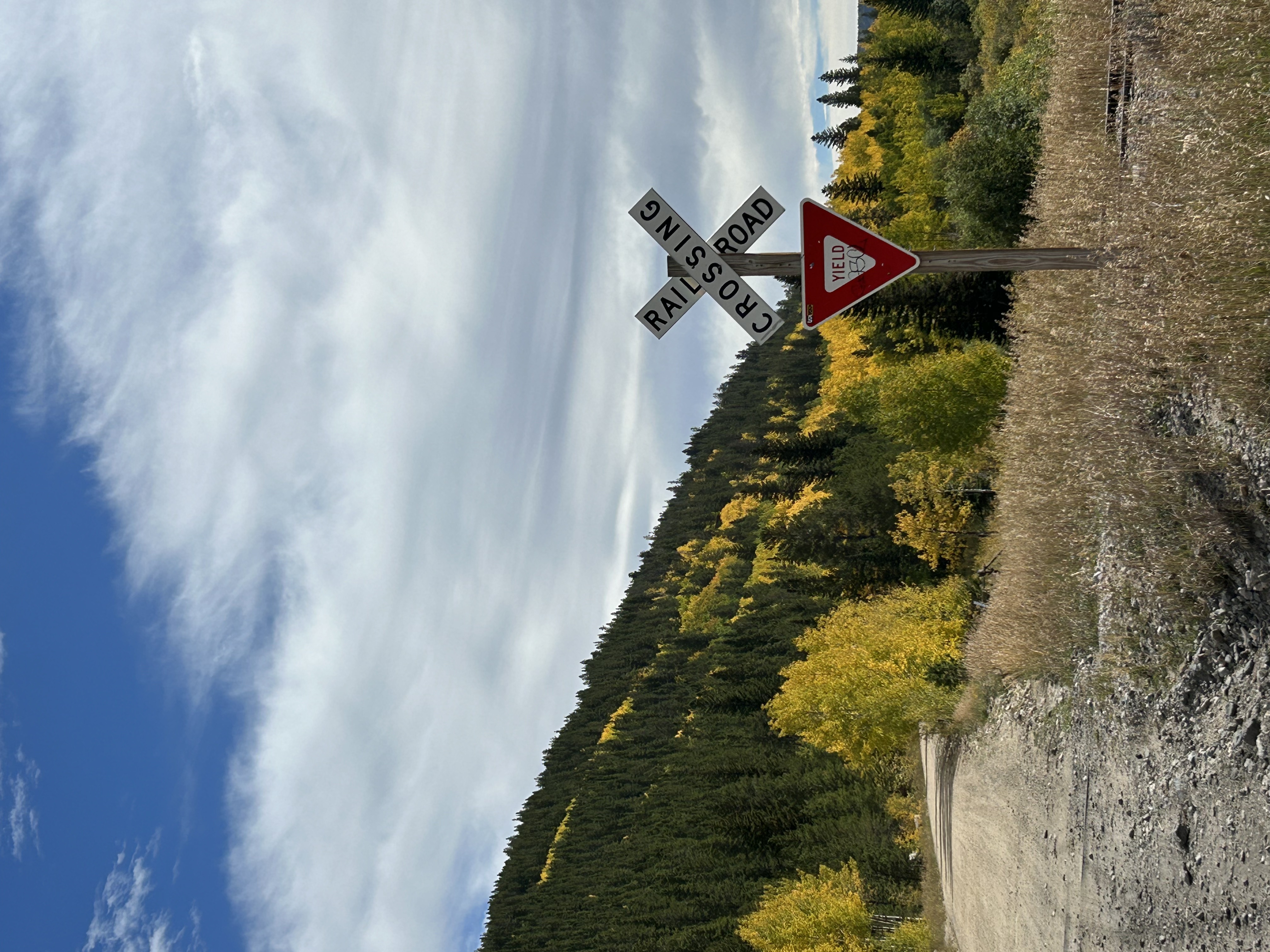 Railroad crossing and yield signs next to a gravel road surrounded by trees with autumn foliage under a partly cloudy sky.